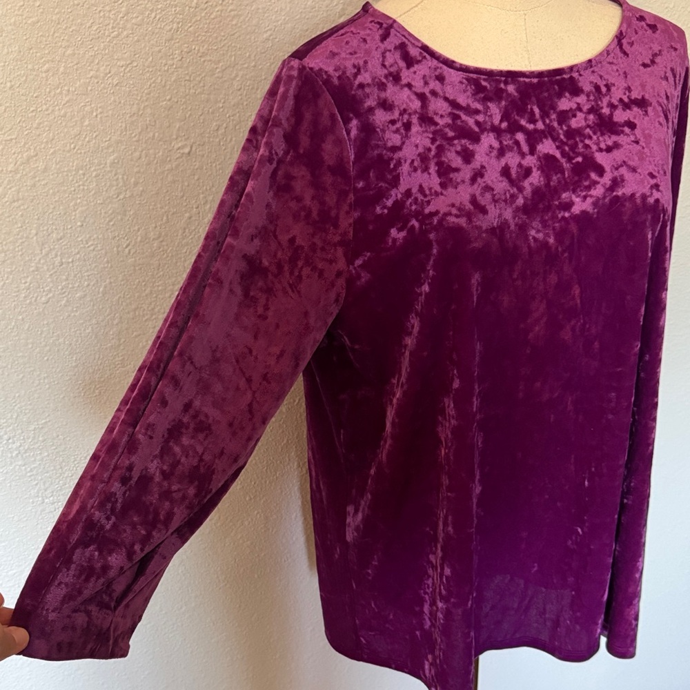 NWT J. Jill Crushed Velvet 3/4 Sleeve Pullover in Sugarbeet size Large Tall - Picture 4 of 15